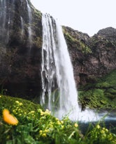 Seljalandsfoss waterfall on Iceland's South Coast in summer.