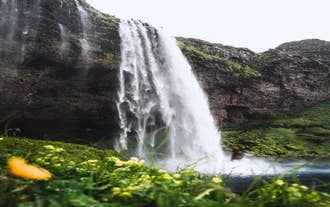 Seljalandsfoss waterfall on Iceland's South Coast in summer.