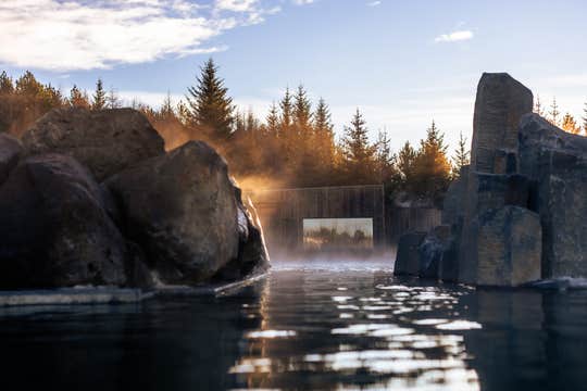 Golden Circle Minibus Tour with Laugaras Lagoon & Fridheimar Tomato Farm from Reykjavik