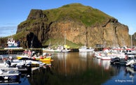 A modern-day Viking - the Heroic Deed of the Fisherman Guðlaugur Friðþórsson in the Westman Islands