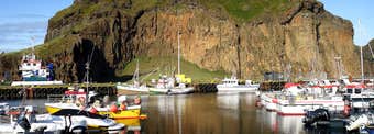 A modern-day Viking - the Heroic Deed of the Fisherman Guðlaugur Friðþórsson in the Westman Islands