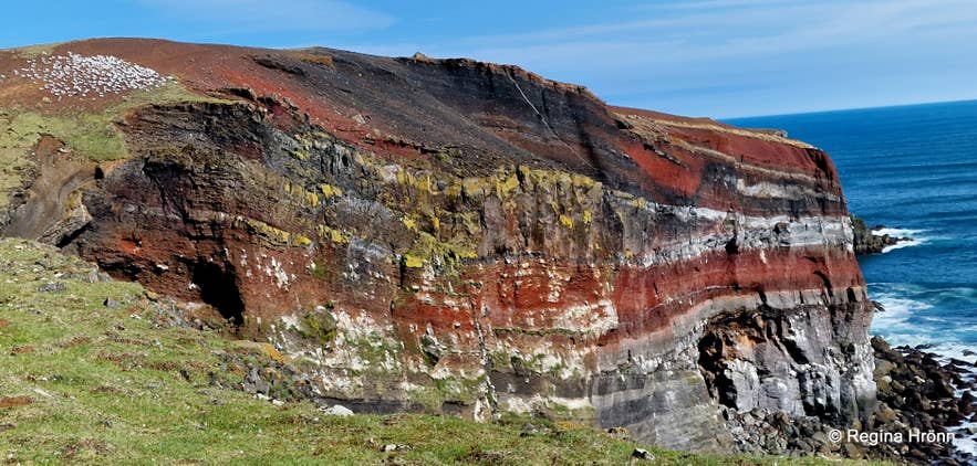 Krýsuvíkurberg, Rauðaskriða & Selalda on the Reykjanes Peninsula