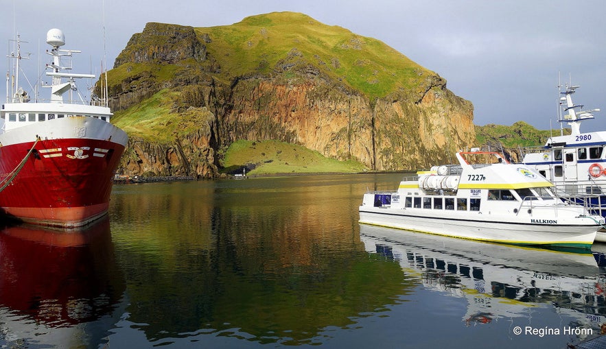 The Westman islands in Iceland - the Puffin and Volcano Tour - Local Guidance