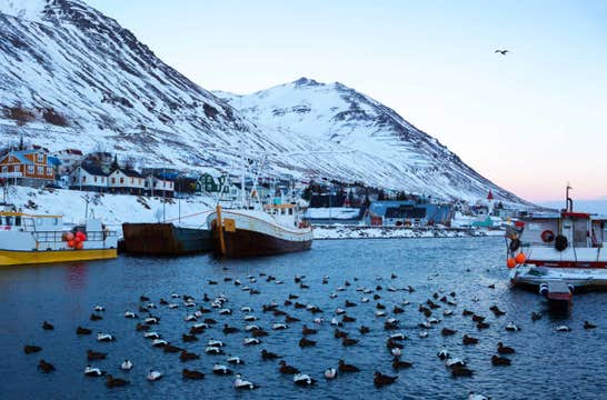 Winter Wonderland 9-Day Northern Lights Adventure Tour Around Iceland from Reykjavik