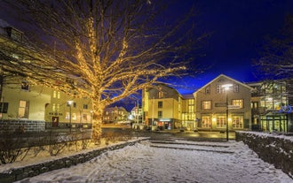 Festive lights glow up the holiday spirit.