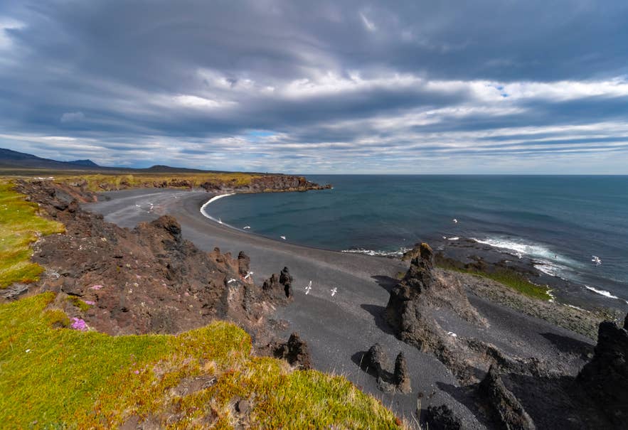 Grass-covered lava formations surround Djupalonssandur black sand beach.