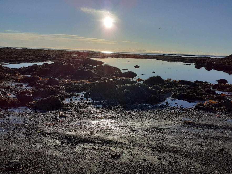 Eyrarbakki is home to a quiet but breathtaking beach.