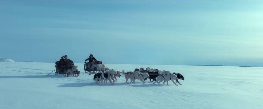 アゲインスト・ザ・アイスのシーンではアイスランドの氷河で犬ぞりが登場