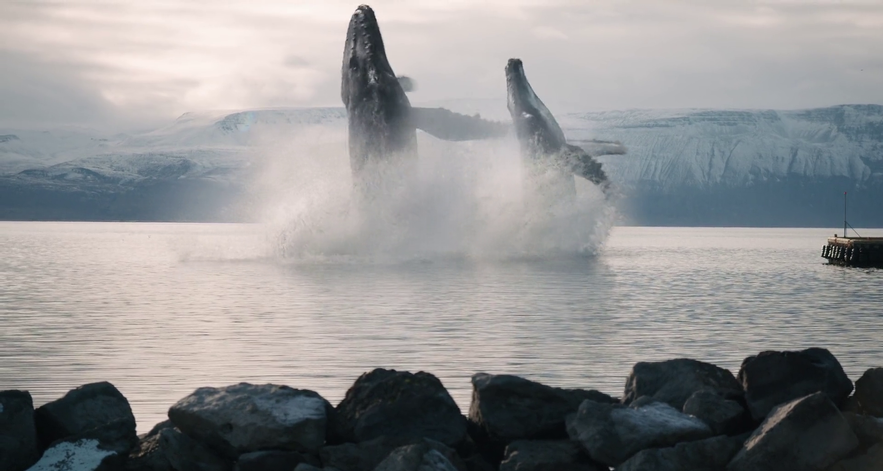 Filminspelningsplatser på Island: en komplett lista