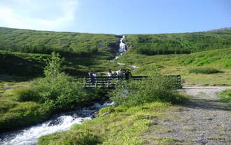 Water flows over the Tunguskogur Waterfall surrounded by green hills on a Westfjords tour.