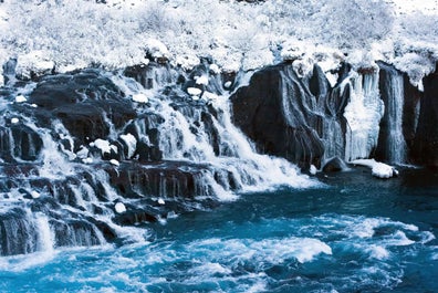 Nature's frozen artistry on display at the icy Hraunfossar waterfalls, where crystal-clear water emerges from beneath the lava fields.