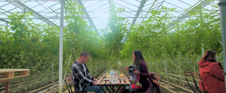 映画スルー・ナイト・アンド・デイでカップルがフリズヘイマル農場レストランで食事するシーン（フルージル）