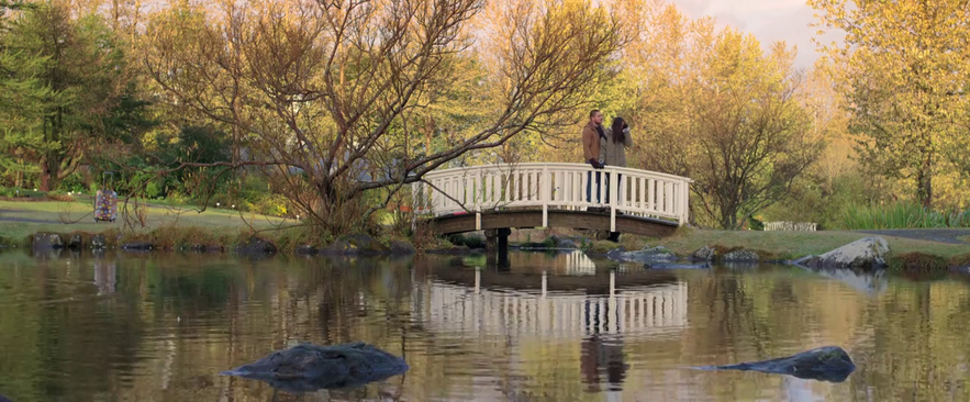 The climax of the movie takes place in the Reykjavik Botanical Garden