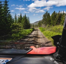 Viaggiate fuori strada e godetevi i paesaggi mozzafiato in un emozionante tour in buggy di 2 ore vicino a Geysir
