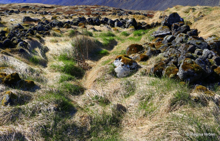 The Folklore of Kr&yacute;sa and Herd&iacute;s 
& 
a Hike on St&oacute;ra-Eldborg & Litla-Eldborg