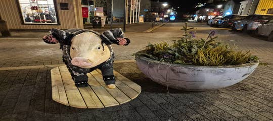 Review of S&aelig;ta Sv&iacute;ni&eth;: A Cozy, Quirky Gastropub for Icelandic Favorites