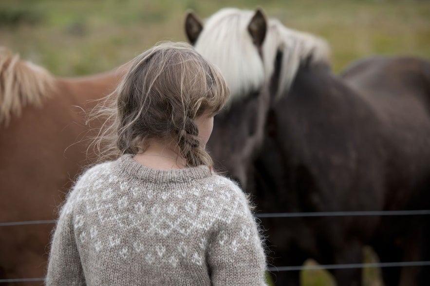 You'll likely see people in Lopapeysas if you go on a horse riding tour in Iceland