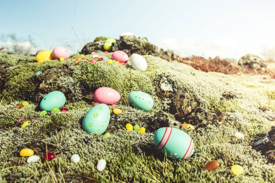 Colorful Easter eggs on mossy lava field in Iceland spring.
