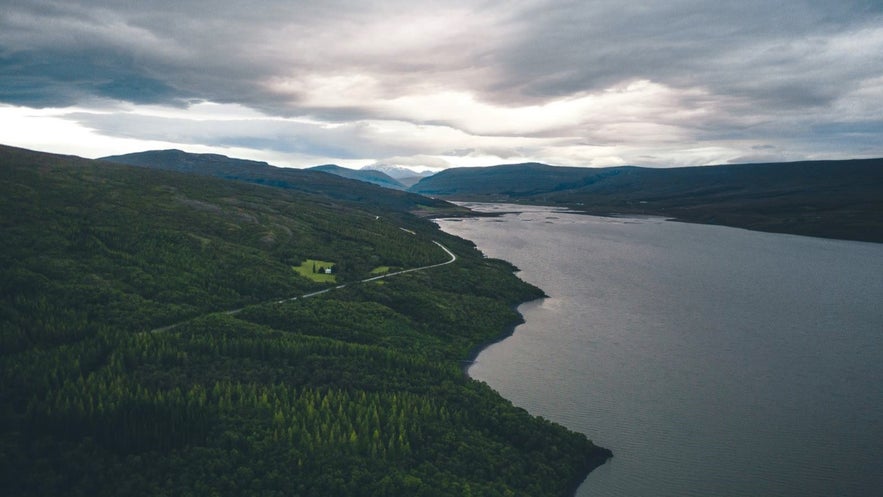 Der Wald Hallormsstadaskogur ist perfekt für schöne Spaziergänge in der Natur