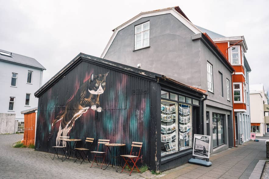 Kunstgalerie in Reykjavik met IJslandse fotoprints en een kleurrijke kattenmuurschildering