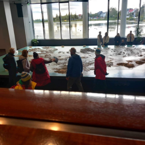 1.5-Hour Immersive Heritage Walk Tour in Reykjavik