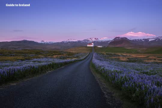 4-Day West Iceland to Husafell Road Trip
