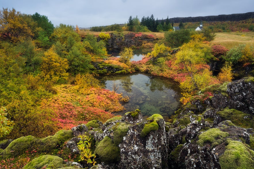 Il Parco Nazionale di Thingvellir, durante l'autunno in Islanda, è una location splendida ed è una delle mete più popolari per i tour nel paese