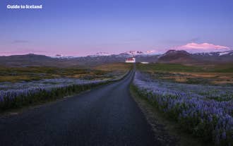 Le volcan du glacier Snaefellsjokull est omniprésent à Snaefellsnes.