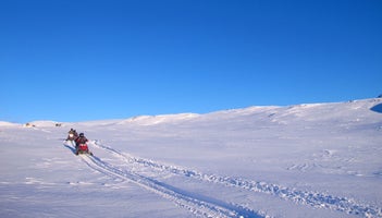 Snöskoterturer