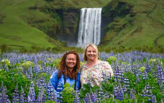 Finding beauty in every detail, lupines add a touch of enchantment to Skogafoss's grandeur.
