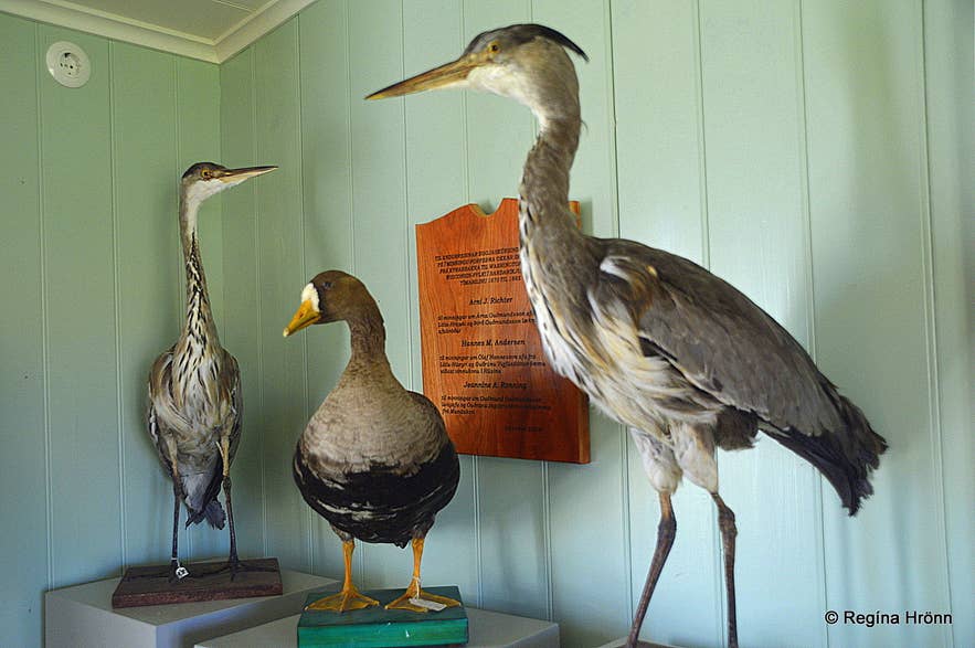 The lovely little Village Eyrarbakki on the South Coast of Iceland &amp; Húsið - the House