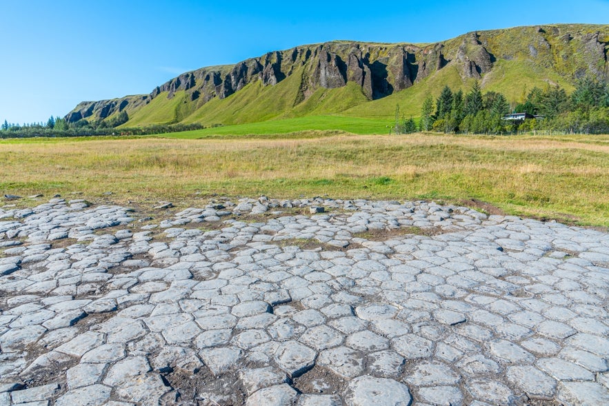 Kirkjugolf Stones showing natural hexagonal basalt columns forming a flat, tiled rock surface under a grassy hill.