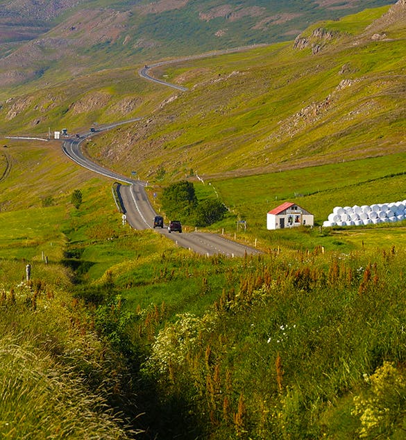 Hotels & Accommodation in Dalvik