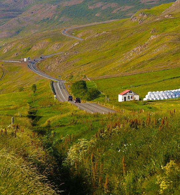 Hotels en Accommodatie in Dalvik