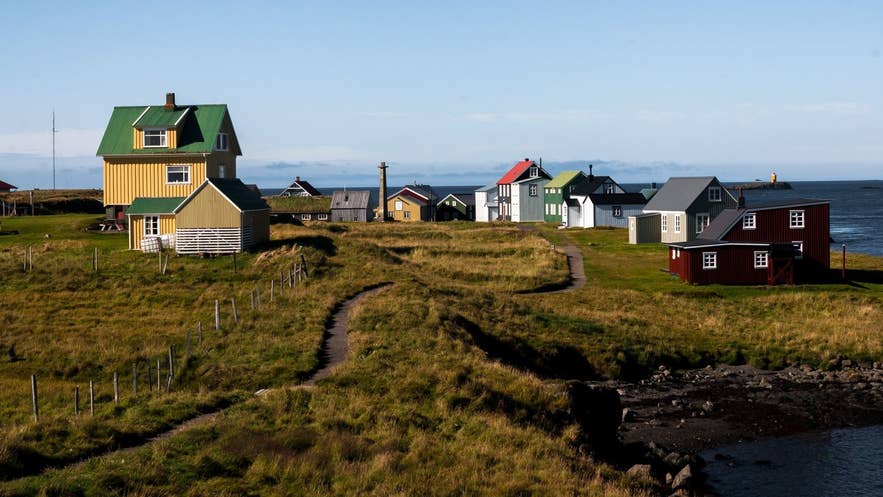 Colorful traditional houses on Flatey Island, Iceland, with grassy paths leading to the coastline on a clear, sunny day.