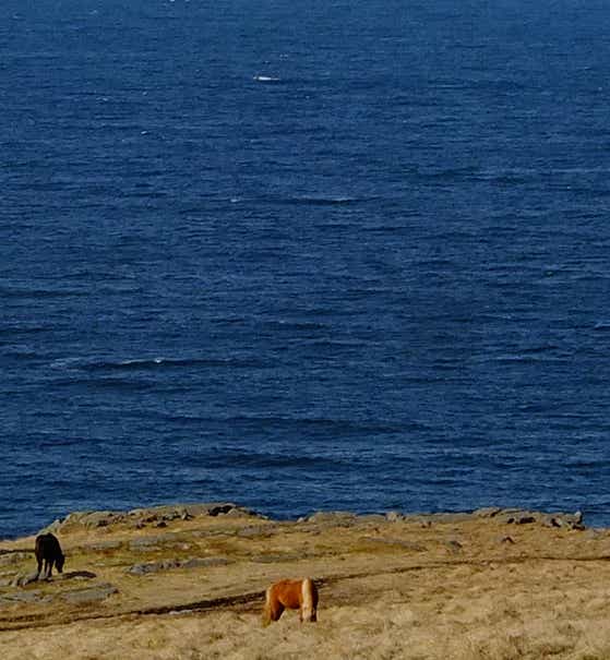 华姆斯唐吉酒店及住宿