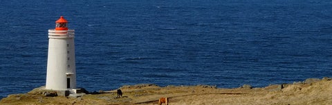 Hotele i zakwaterowanie w Hvammstangi