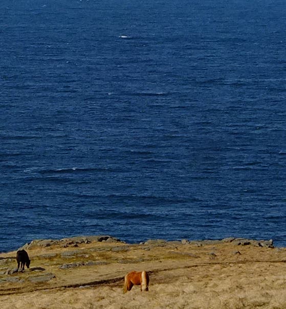 Hotels & Unterkünfte in Hvammstangi