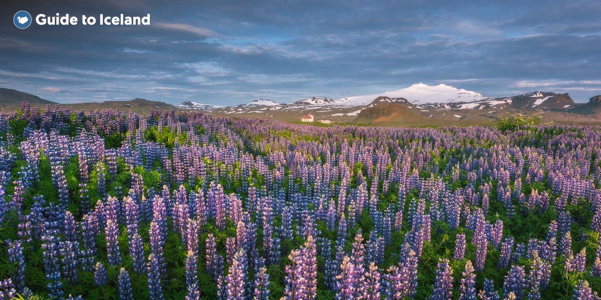 guidetoiceland.is