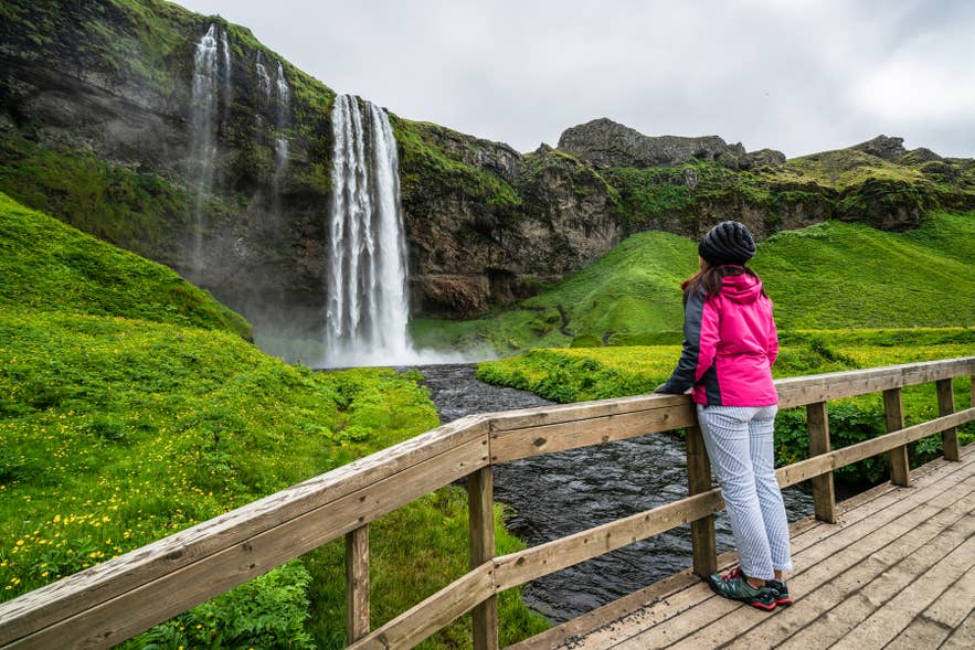 Woman traveler at Seljalandsfoss Waterfall in Iceland in spring Woman traveler at Seljalandsfoss Waterfall in Iceland in spring