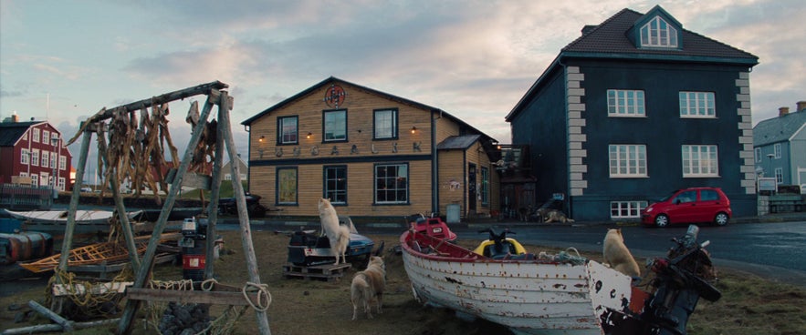 สติกกิชโฮลมูร์ในไอซ์แลนด์ใช้ถ่ายทำเป็น Nuuk กรีนแลนด์