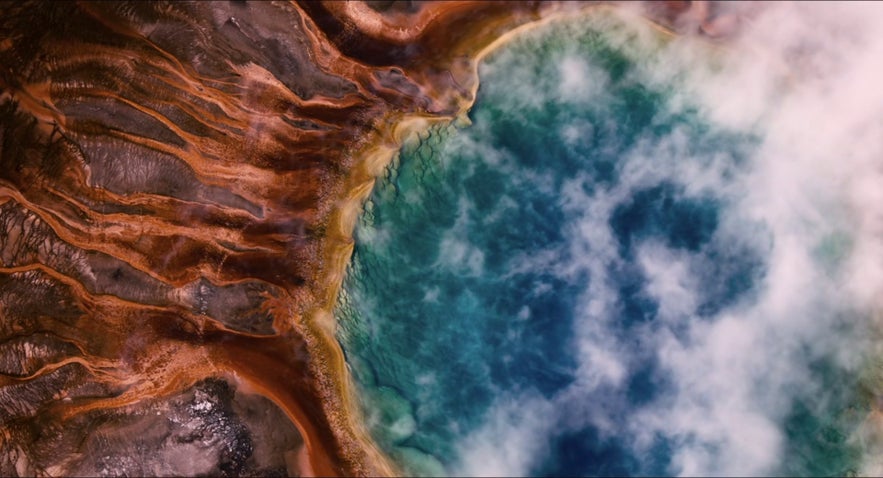 L'area geotermica di Námafjall in Tree of life