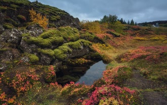 Golden Circle's Thingvellir National Park is swarmed by lush valleys and unique geological formations.