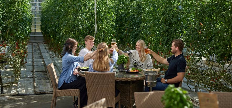 Repas servi dans la serre de tomates de Fridheimar, sur le Cercle d'or en Islande