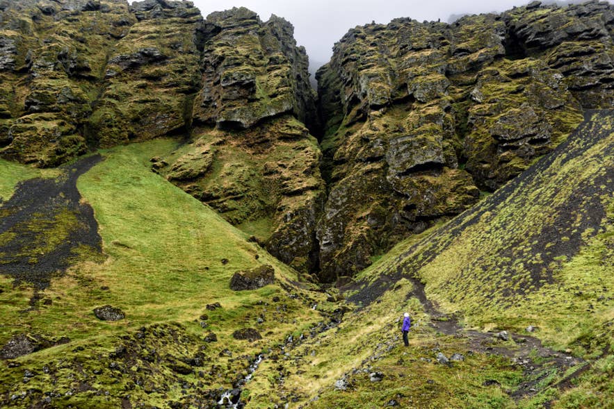 Hiker exploring the dramatic moss-covered cliffs of Raudfeldsgja Canyon on the Snaefellsnes Peninsula.