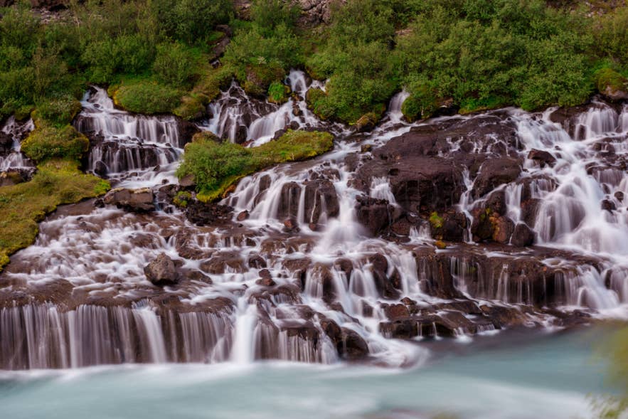 Turkisblå vandfald ved Hraunfossar, der strømmer gennem mosdækkede lavamarker i Vestisland.