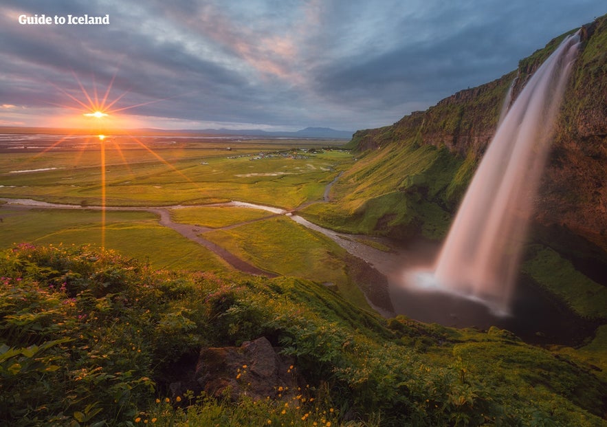 Seljalandsfoss waterfall in Iceland at sunset with colorful wildflowers and green summer landscape along the South Coast.