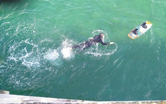 An overhead view of a person swimming to their wakeboard at Holt Beach in the Westfjords.