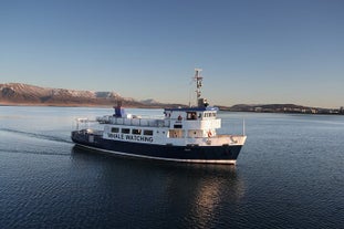 A whale-watching vessel sails into Faxafloi Bay.