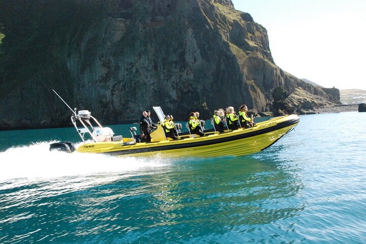 A whale-watching tour heads out to sea on a RIB.